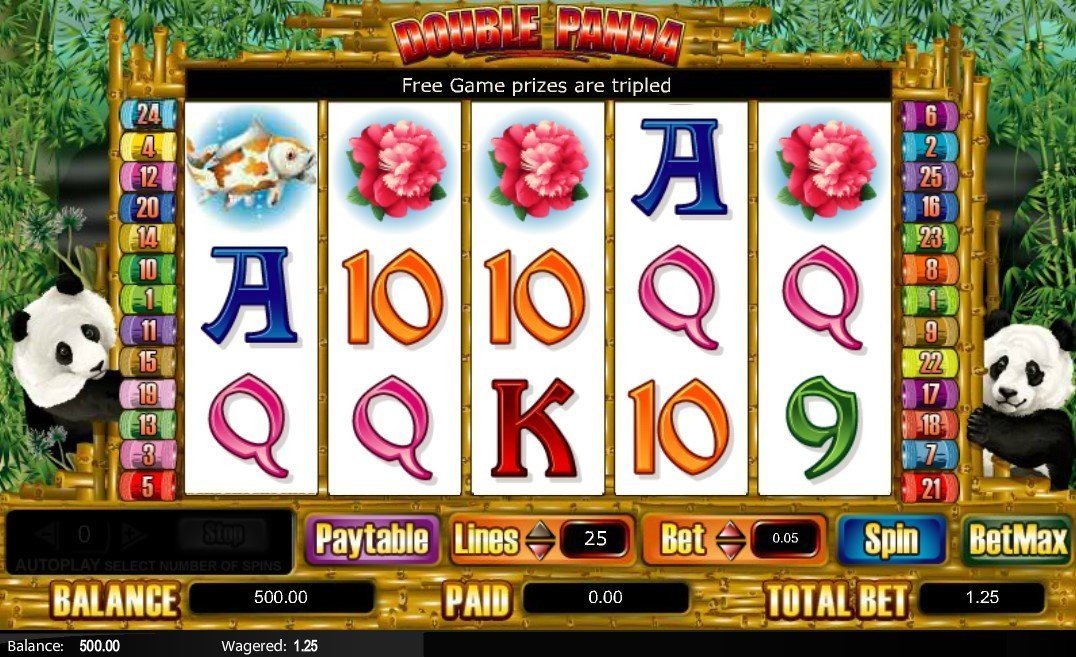 Double Panda Slot Review