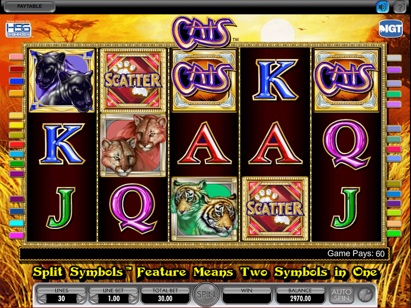 Cats Slot Review