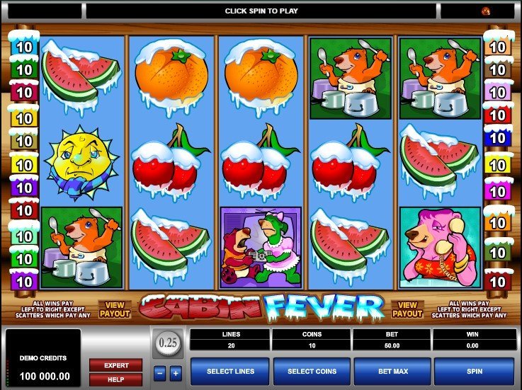 Cabin Fever Slot Review