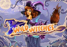 Wild Witches Slot